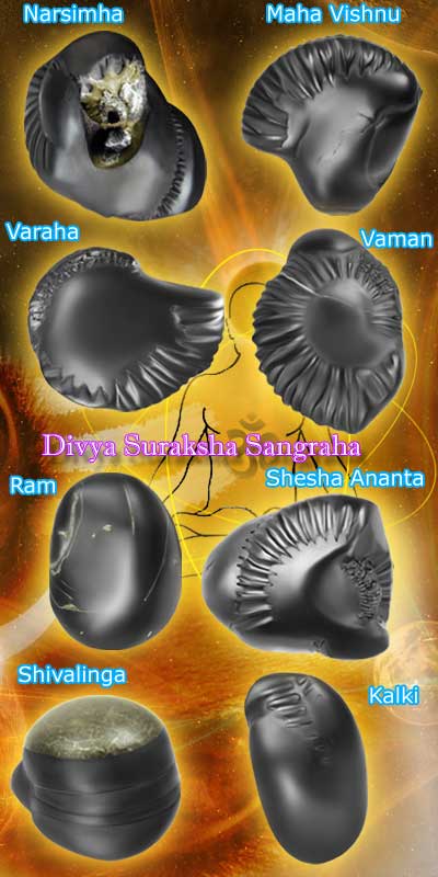 Auspicious Divya Suraksha Sangraha-DSS0001